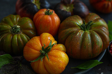 close up of fresh rainbow tomatoes