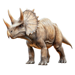 Fototapeta premium Majestic Triceratops on transparent background. A herbivorous dinosaur from the Late Cretaceous period.
