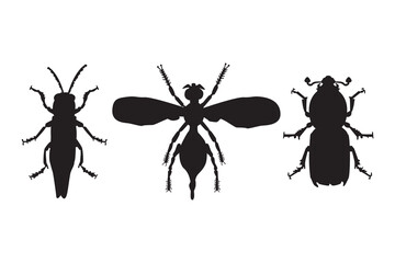 Set of different insect silhouette isolated on white background. Bug black shape. Beetle icon. Entomology, botanic or biology design element for poster, flyer, or book cover. Stock vector illustration
