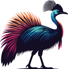 Cassowary silhouette colour vector style with white background