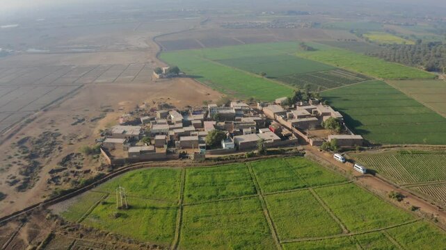 Profile view of a village in between green agricultural fields in Sukkur, Pakistan.