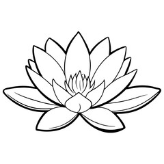 Fototapeta premium exotic-flower-png--egyptian-water-lily-vintage-ill