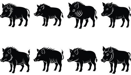 Wild Boar Vector Shilhouette Bundle Set Collection