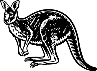 Kangaroo in a standing pose, featuring intricate fur texture and a robust, detailed design sketch engraving vector