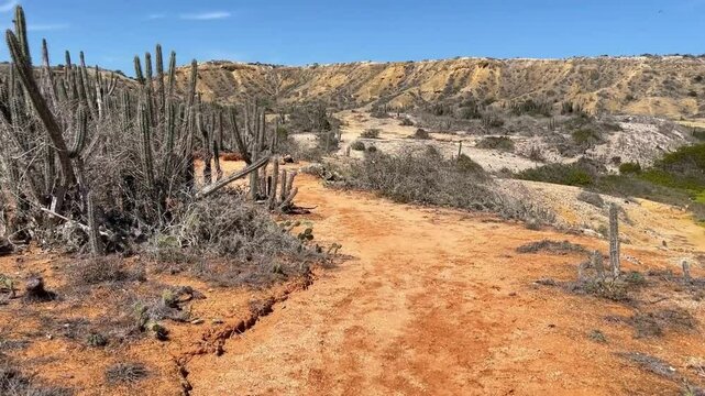 Tropical, exotic views and lots of cacti on the Venezuelan island of Cubagua
