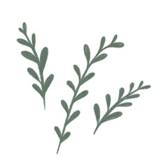 branch with green leaves