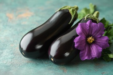 Fresh eggplants accompanied by a vibrant flower on a textured background in a bright kitchen setting