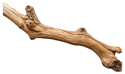 PNG A wooden tree branch
