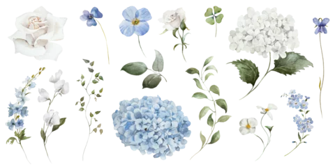 Watercolour floral illustration set. Blue white flowers green leaves individual elements collection. Hydrangea, myosotis, rose, peony, eucalyptus. Wedding invitation, prints fashion, bouquet, pattern. © Veris Studio