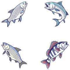 Bundle fish art and illustrator eps 