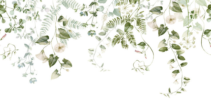 Watercolor wildflower floral seamless border - illustration with flowers, green leaves and branches, for wedding stationary greetings, wallpapers, fashion, backgrounds, textures, DIY, wrappers, cards.