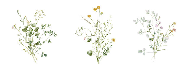 Watercolor wildflower floral illustration set - green gold flower daisy ivy wreath frame border bouquet. Wedding stationary, greetings, wallpaper, fashion, background, textile. Eucalyptus, olive, ivy.