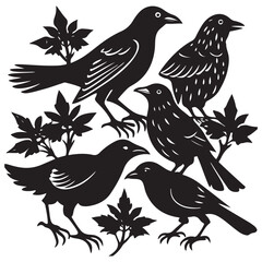 Hand drawn Bird silhouette set illustration