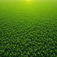 Obraz premium Green grass field under a clear blue sky with a natural landscape