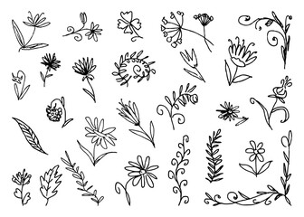 Doodles floral summer, flowers, plants, contour drawings, vector illustration isolated on white background