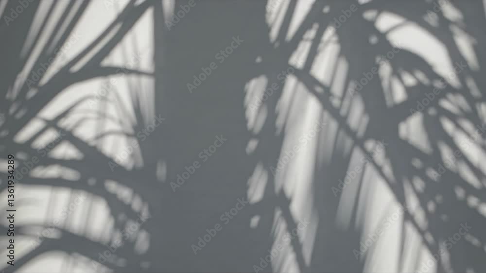 Poster soft-focus video of palm leaf shadows on a light background, captured from a low angle, creating a s