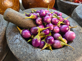 Fresh purple eggplants in stone mortar bowl
