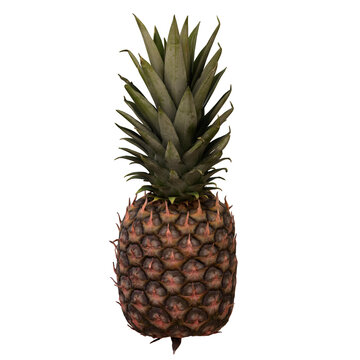 pinapple realistic 3d render