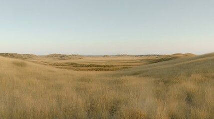 Fototapeta premium Golden expanse of grassy dunes. A vast, dry landscape stretches out before the viewer, with rolling hills of tall, light-brown grasses and a slightly lower, flat area in the distance.