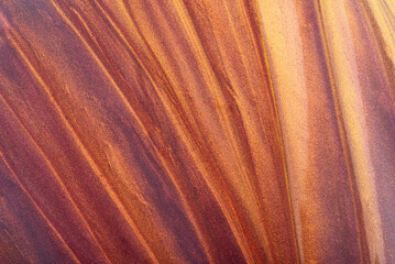 Shimmering Copper and golden Gel Nail Polish Texture