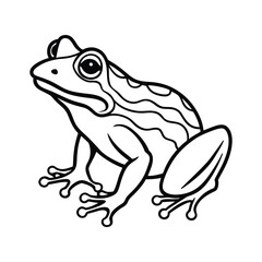 Fototapeta premium frog silhouette 