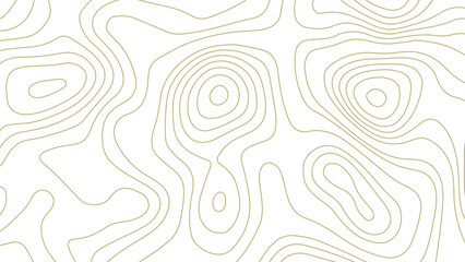 Luxury Gold Line Topographic Texture on White Background
