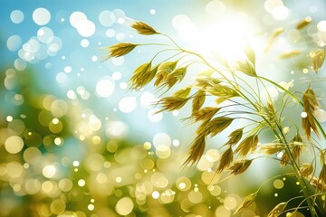 Obraz premium A shimmering field of golden grass glistens under sunlight, creating a serene and vibrant atmosphere enhanced by soft bokeh effects.