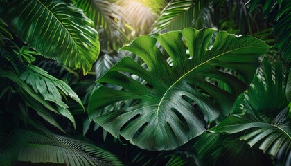A vibrant mosaic of life in the rainforest.  