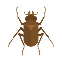 Bug isolated. Beetle insect Vector illustration