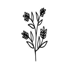 Leaves icon