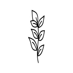Leaves icon