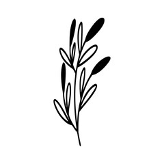 Leaves icon