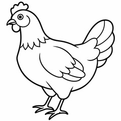 Fototapeta premium chicken line art vector 