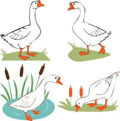 Cartoon Illustrations of Geese in Various Poses