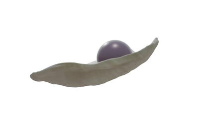 Quahog pearl in venus clam