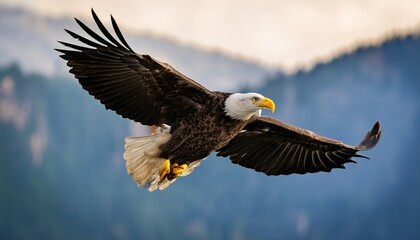 Obraz premium selective focus of bald eagle flying