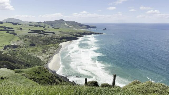 Powerful waves of pacific ocean crashing on a wild sandy beach seen from above. Sandfly bay, Otago Peninsula, south island, new zealand