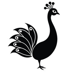peacock vector illustration