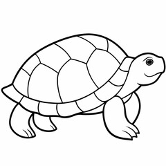 turtle line art vector 