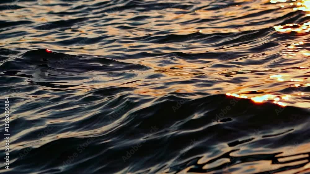 Poster a mesmerizing video of sunlight reflecting on gentle ocean waves, captured from a low angle, creatin