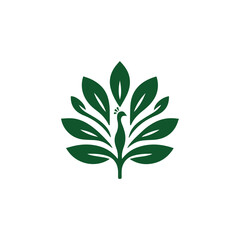 Obraz premium Peacock leaf logo