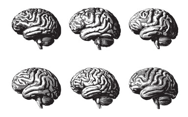 Silhouette brain icon set black and white.