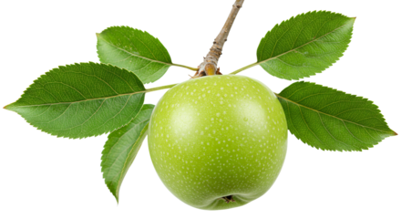 Granny smith apple png, whole green apple on transparent background