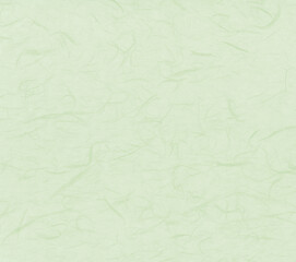 雲龍和紙　若草色