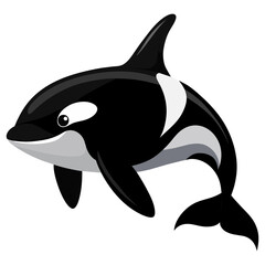 Fototapeta premium orca vector illustration, realistic killer whale artwork, marine wildlife design