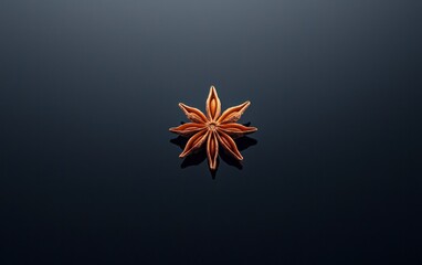 Single star anise spice on dark reflective surface.  High contrast, dramatic lighting. Close-up view