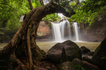 Haew Suwat Waterfall is a single-tiered waterfall, not very large, about 25 meters high, with a lot of water during the rainy season. It is located in Khao Yai National Park, Nakhon Ratchasima