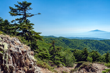 In the foreground woods in the background the outline of the Etna volcano, Sicily, Aspromonte, Reggio Calabria district, Calabria, Italy,