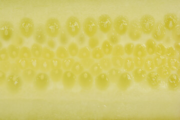 A close-up, macro shot of the inside of a cucumber slice, showcasing its seeds and flesh