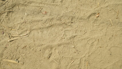 Sandy Ground with Tracks and Debris,
